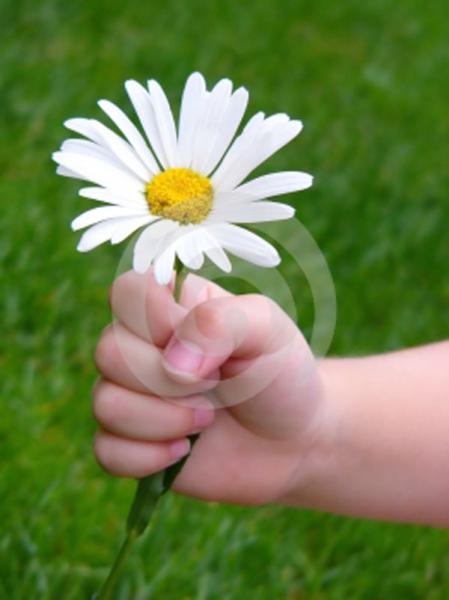 Rien que pour vous....